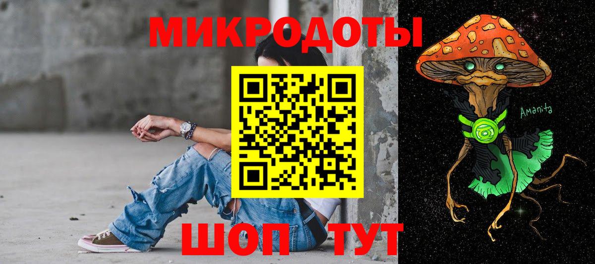 Псилоцибиновые грибы Psilocybine cubensis Новоуральск